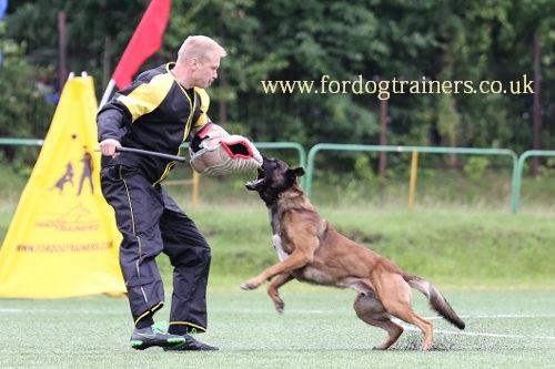 schutzhund dog training suit